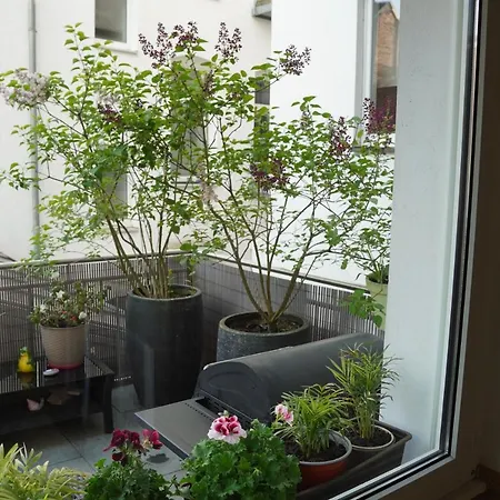 Bright, Spacious With A Lovely Terrace In The Heart Of Aachen