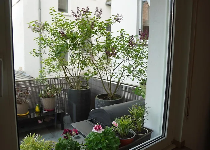 Bright, Spacious With A Lovely Terrace In The Heart Of Aachen